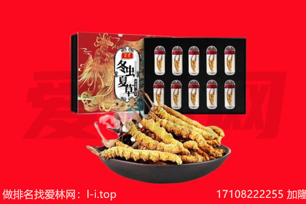 新乡回收虫草.jpg